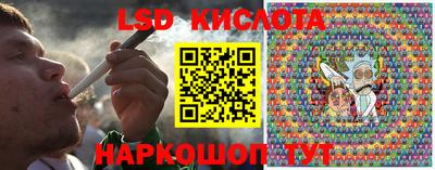 гидропоника Будённовск