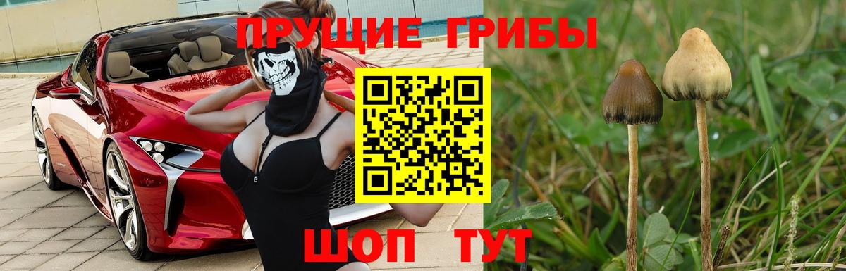 Псилоцибиновые грибы GOLDEN TEACHER  Вход с VPN  Печора 